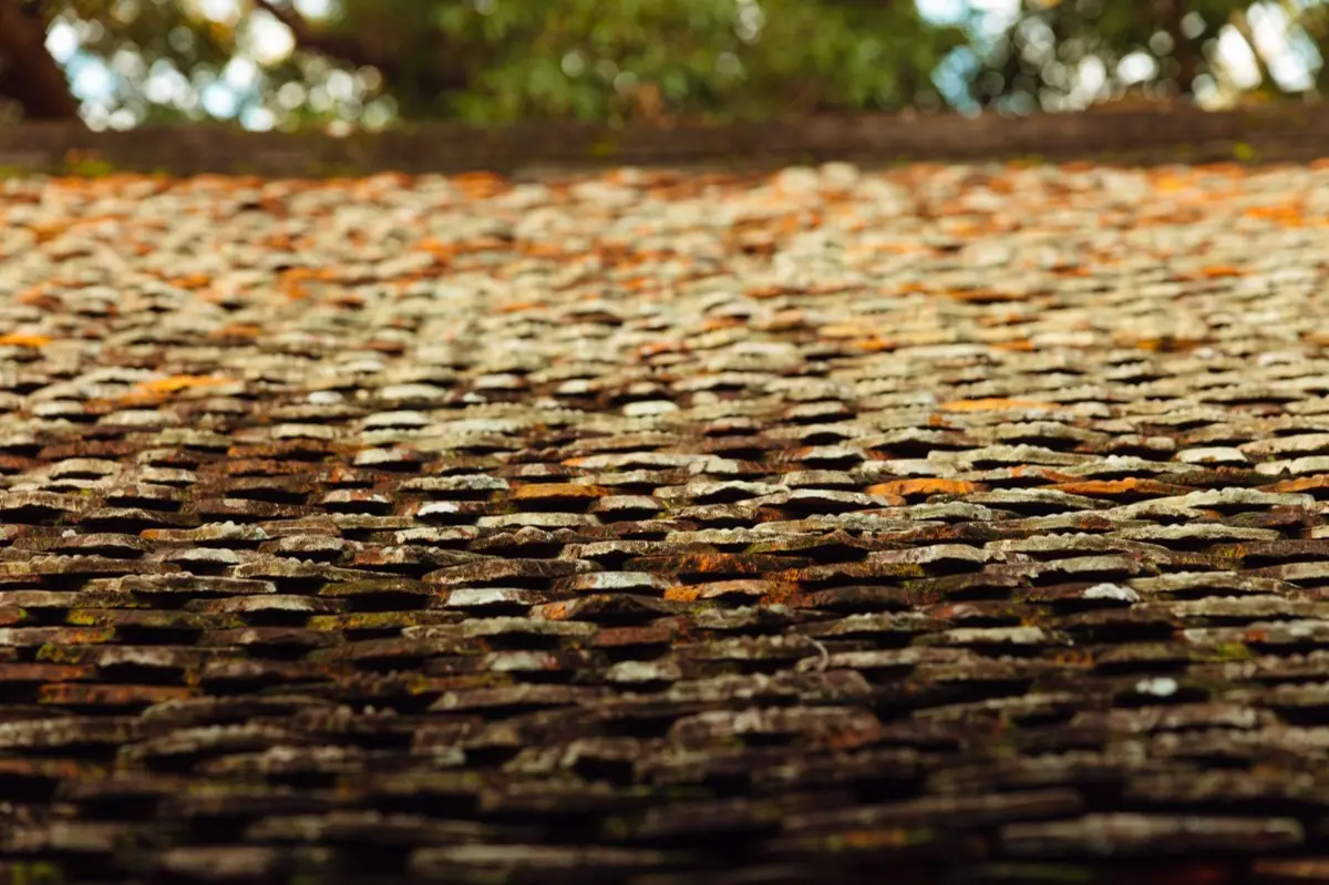 Aging shingle roof with moss growth and granule loss in Raleigh, NC